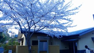 ２０２２年４月４日臨時・嵐山こども食堂開催