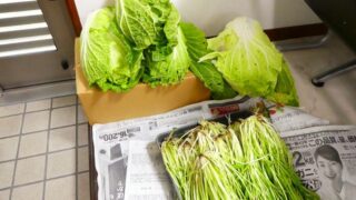 第６３回嵐山こども食堂開催