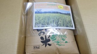 第４９回嵐山こども食堂開催