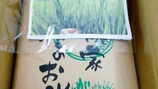第３５回嵐山こども食堂開催