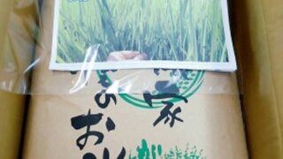 第３４回嵐山こども食堂開催